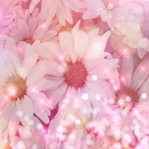 Meet your Posher, Raeanne